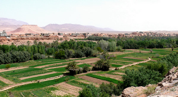 317_Marokko