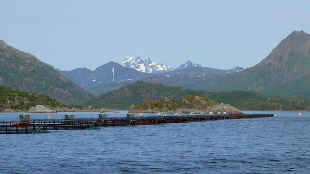 10.069_Svolvaer_Trollfjord.08